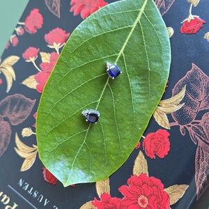 Elegant Blue and Silver Stud Earrings